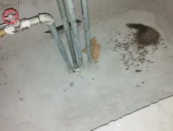 乌尔禾卫生间测漏水价格明细