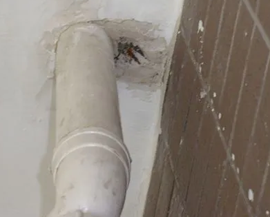 乌尔禾漏水检测哪家好